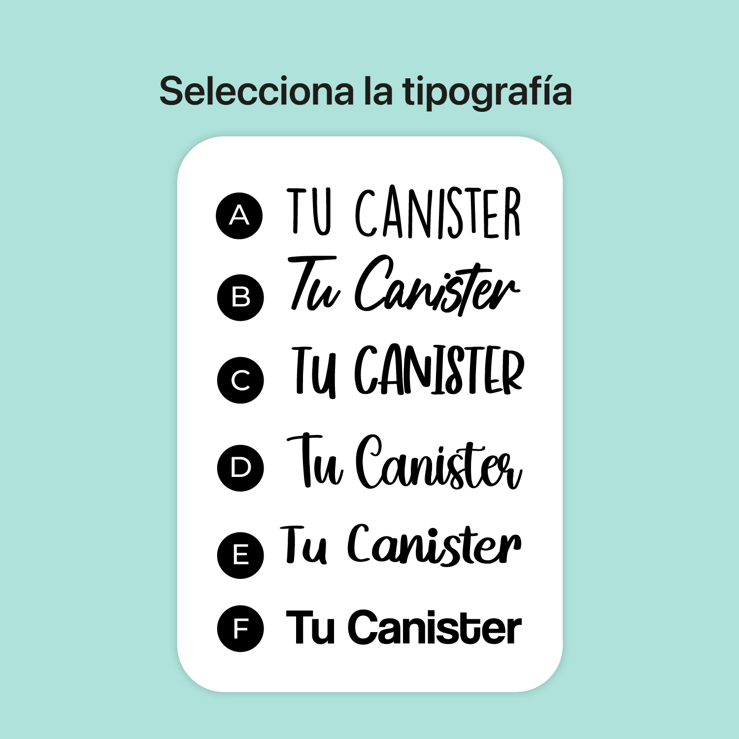Linea Tradicional - Imagen 2